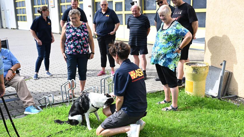 Die Besuchshunde des ASB begeisterten die dänischen und deutschen Zuschauer:innen durch ihr ruhiges Wesen.