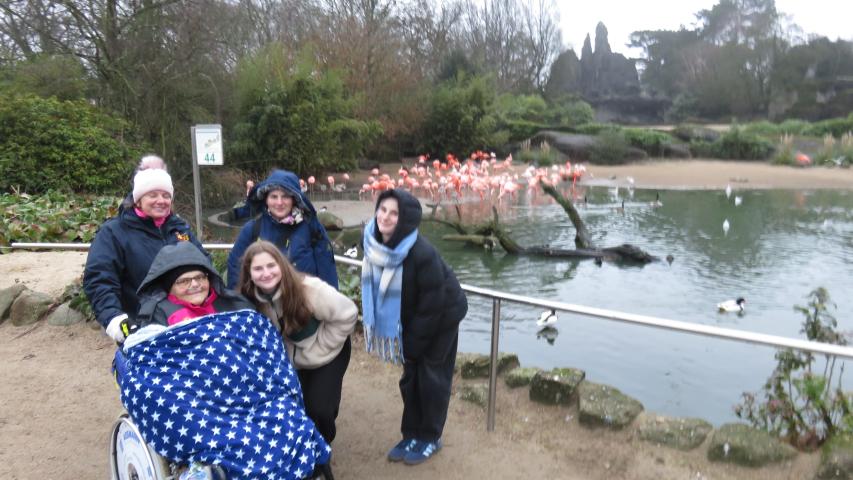 Waltraud und ihre Liebsten bei den Flamingos